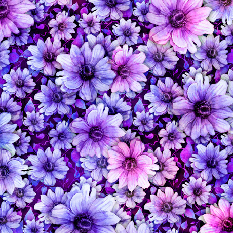 MINKY PRINTS             
